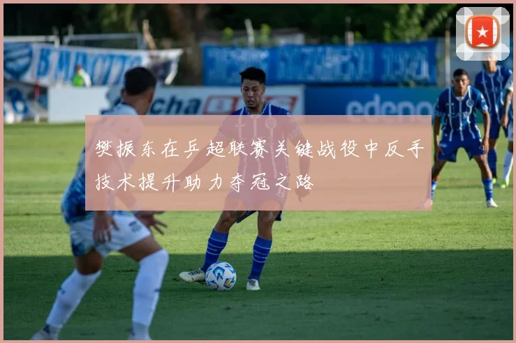 樊振东在乒超联赛关键战役中反手技术提升助力夺冠之路